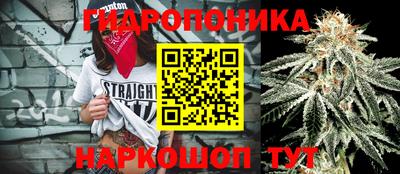 меф Кингисепп