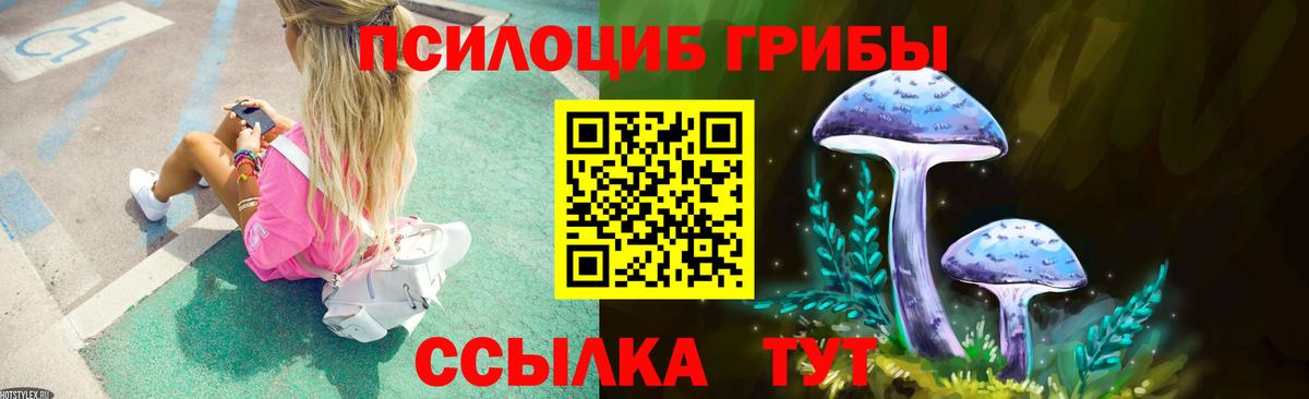 Псилоцибиновые грибы GOLDEN TEACHER  Вход с VPN  Коркино 